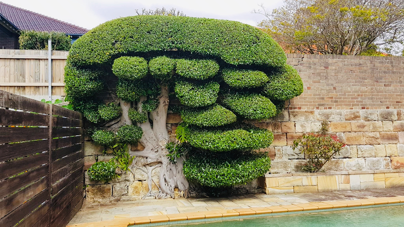 Sydney Gardenscaping project 8