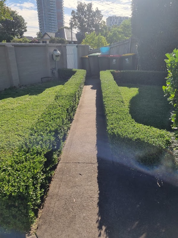 Sydney Gardenscaping project 9