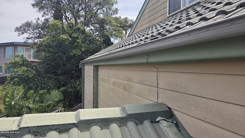 Sydney Gutter Repair photo 2
