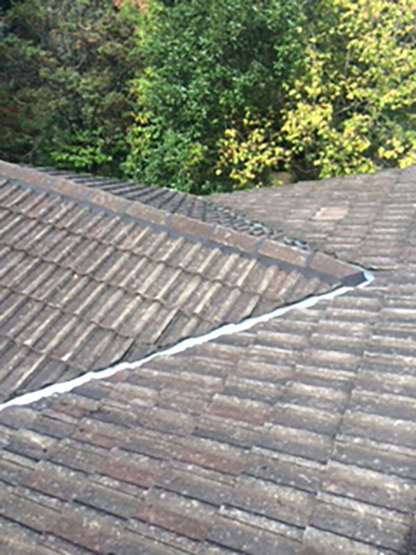 Sydney Roof Maintenance project 5