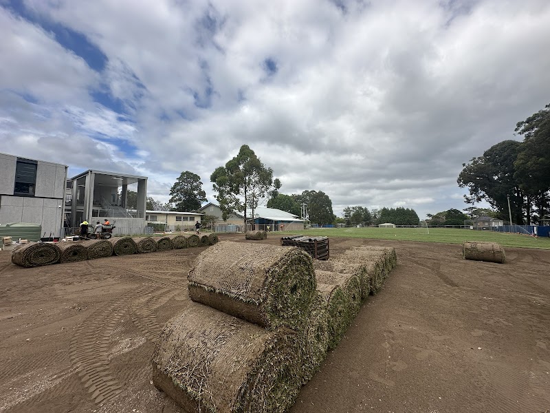 SYDNEY TURF AND LANDSCAPING project 6