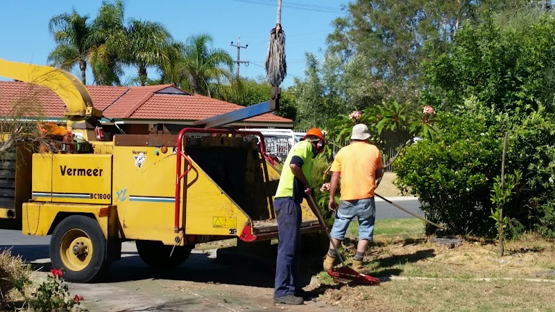 T & A Tree Services work 4