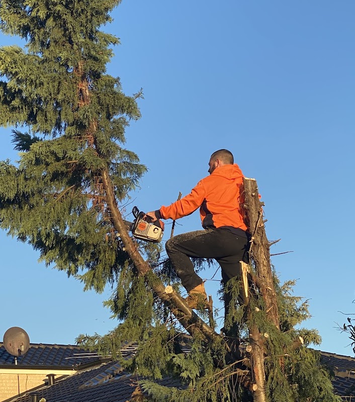 T & A Tree Services project 6
