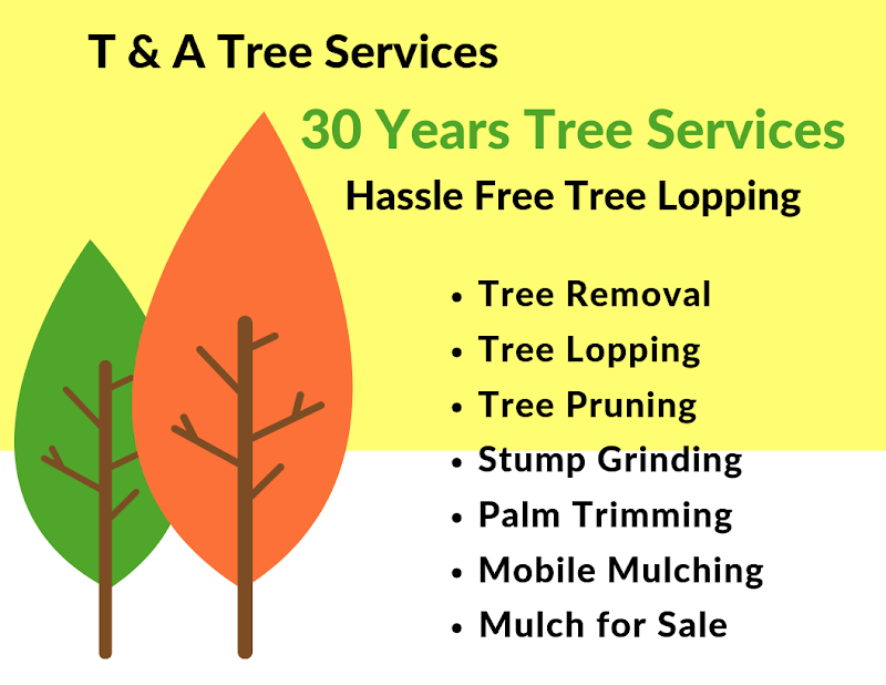 T & A Tree Services project 7