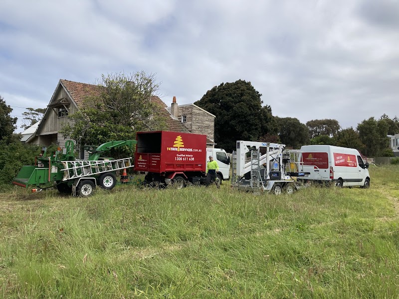 T4 Tree Services project 4