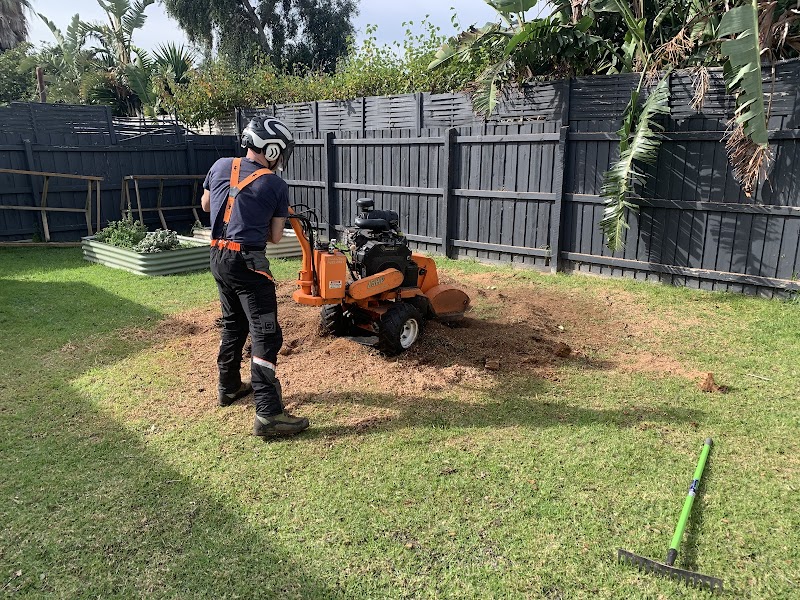 T4 Tree Services project 7