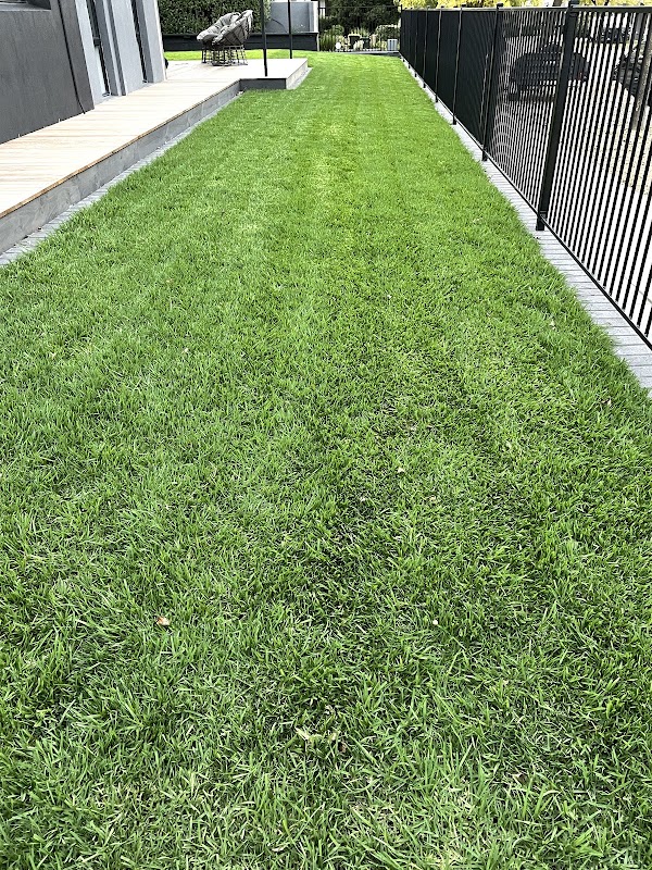 Tanga Landscaping work 2