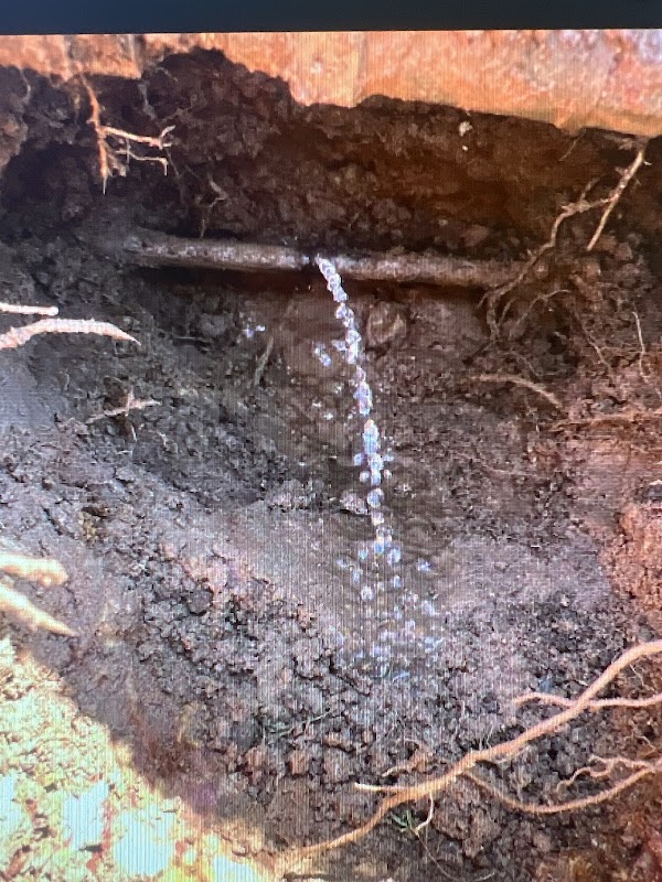 Tap & Drain Dr NT project 5