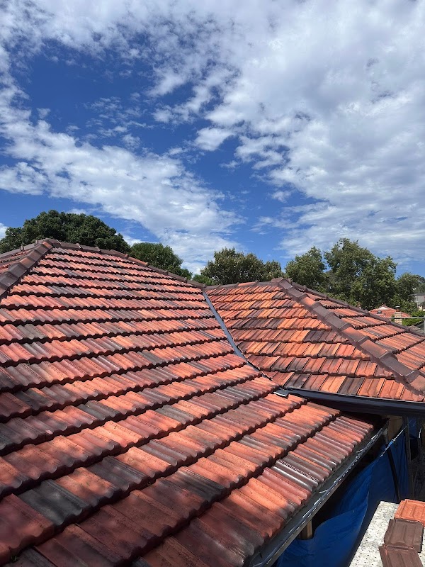 Tarzan's Roofing Solutions work 2