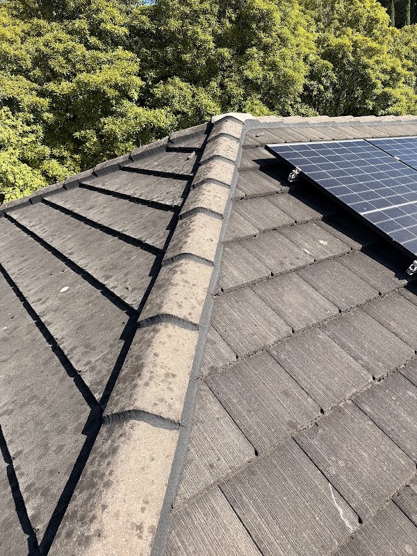 Tarzan's Roofing Solutions work 3
