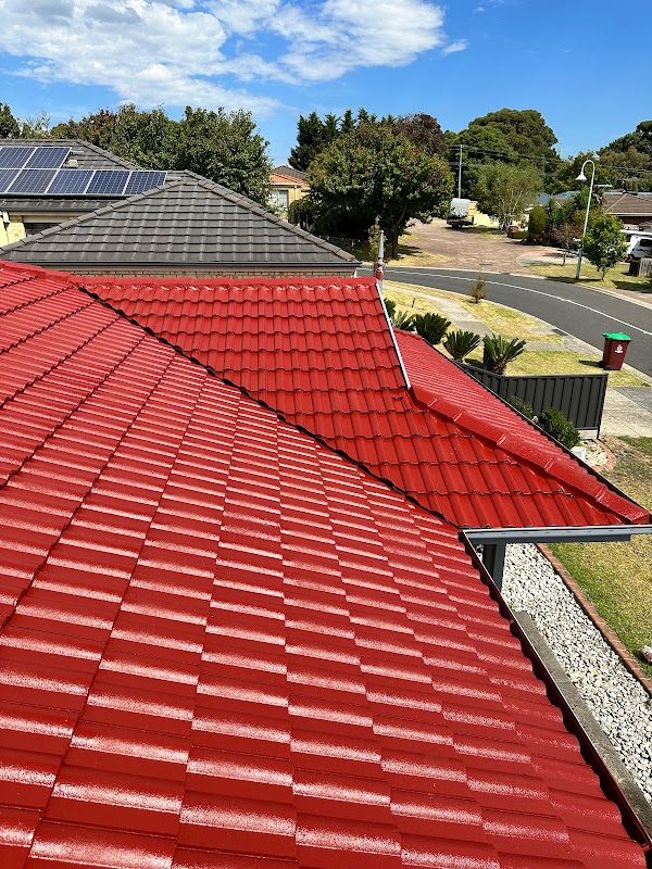 Tarzan's Roofing Solutions work 4