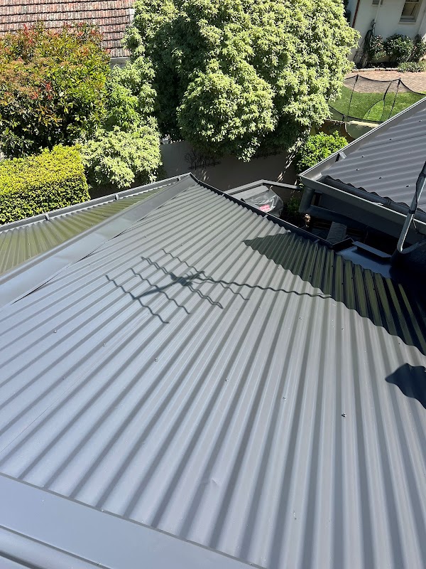 Tarzan's Roofing Solutions project 5