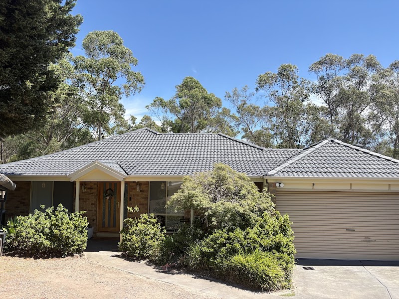 Tarzan's Roofing Solutions project 6