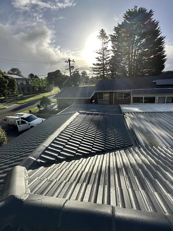 Tarzan's Roofing Solutions project 7