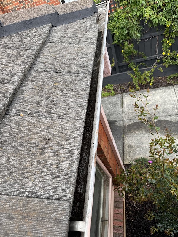 Tarzan's Roofing Solutions project 9