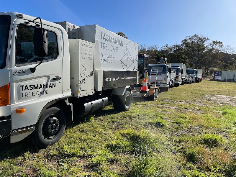 Tasmanian Tree Care project 6