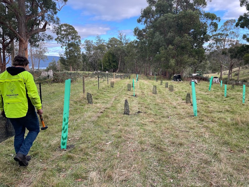 Tasmanian Tree Care project 7