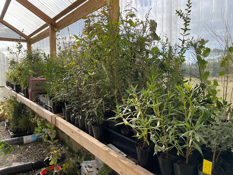 Tasmanian Tree Care project 8