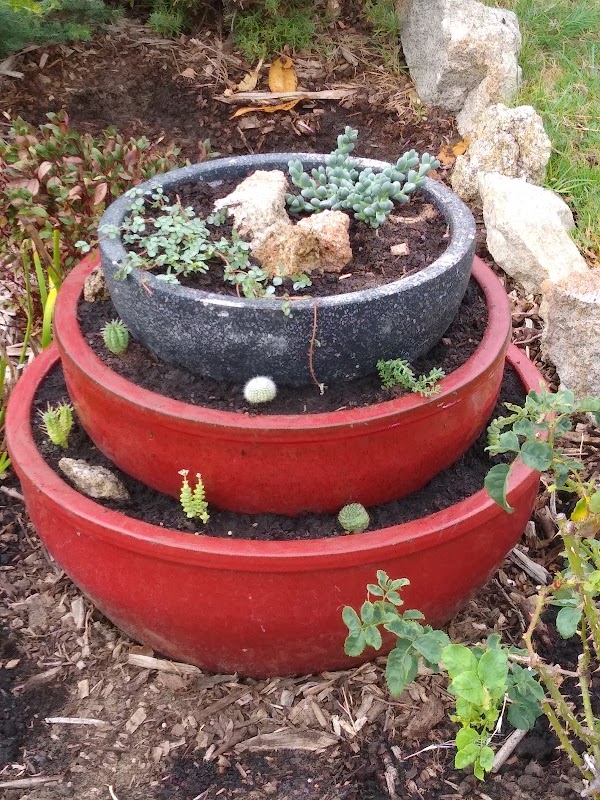 TAYLOR’D GARDENS PERTH project 6