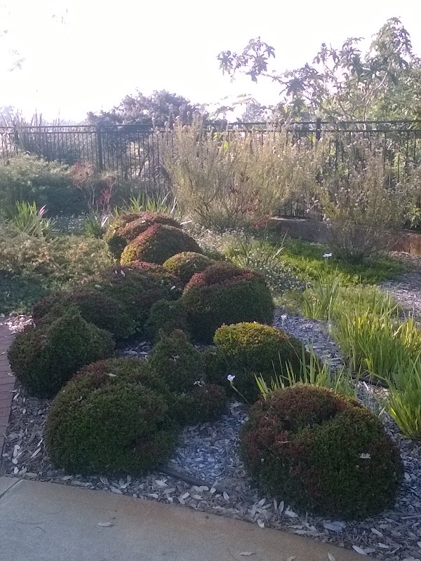 TAYLOR’D GARDENS PERTH project 8