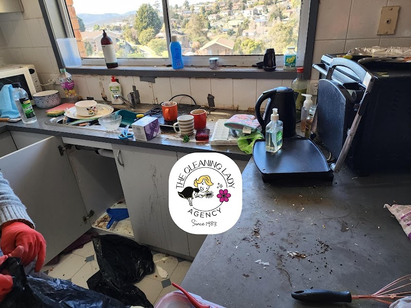 The Cleaning Lady Agency project 4