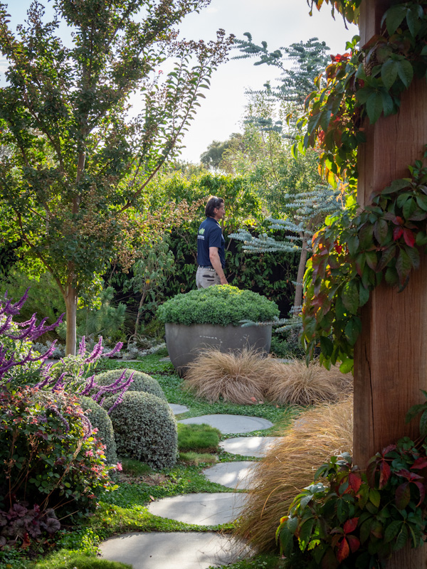 The Cutting Hedge Landscaping and Garden Design project 6