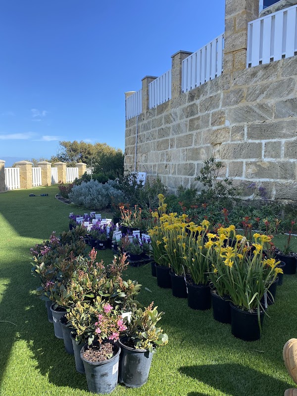 The Garden Collective photo 3