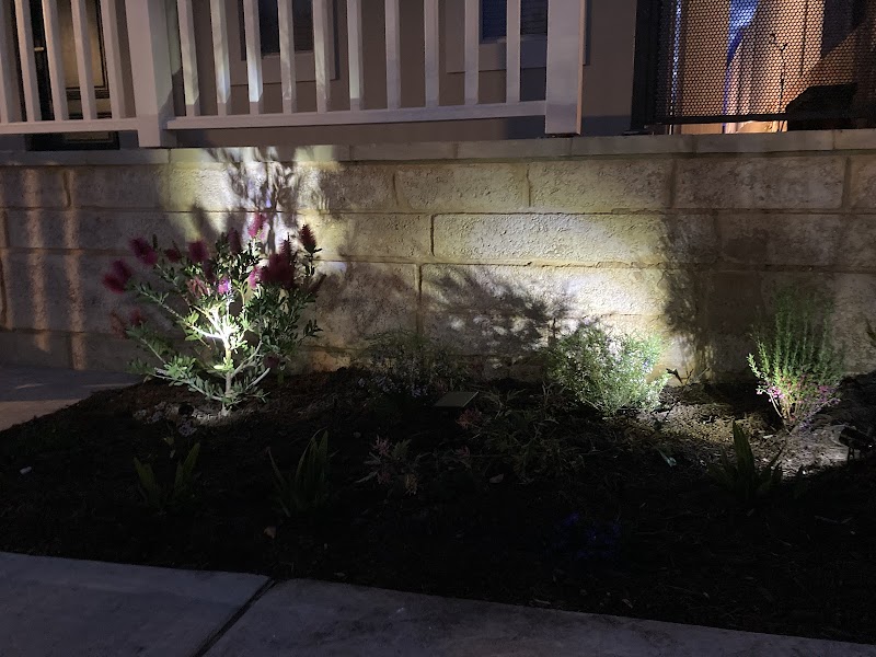 The Garden Collective project 8