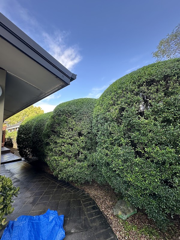 The Gardener & Co. photo 2