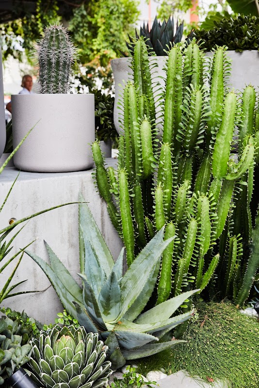 The Green Landscapes and Design photo 1