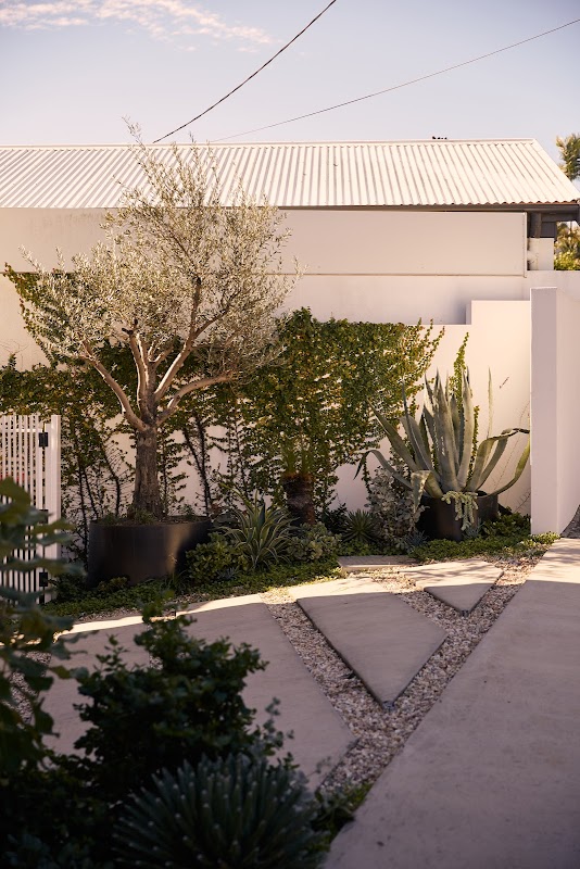 The Green Landscapes and Design photo 2