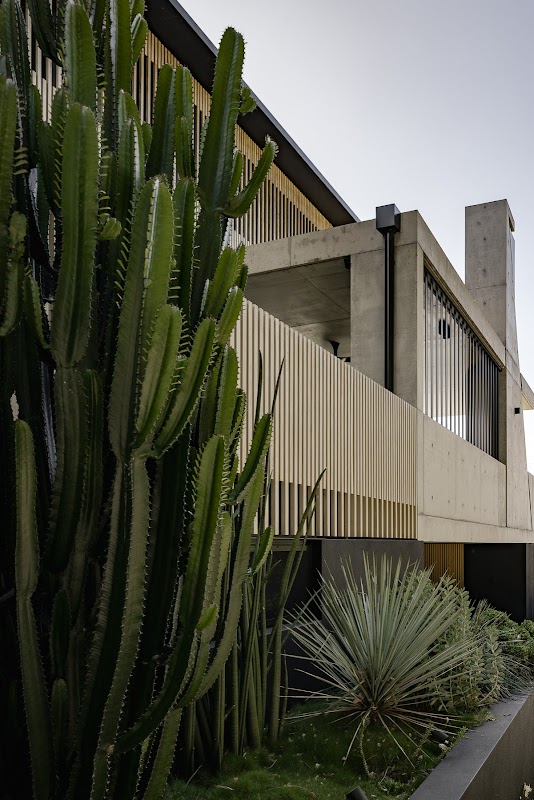 The Green Landscapes and Design work 4