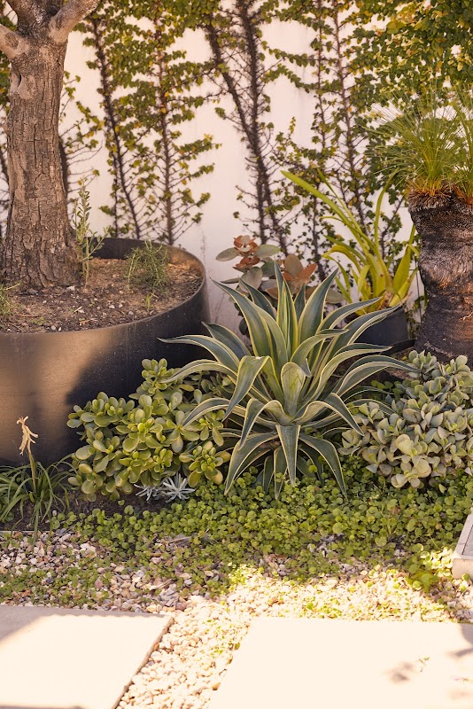 The Green Landscapes and Design project 8