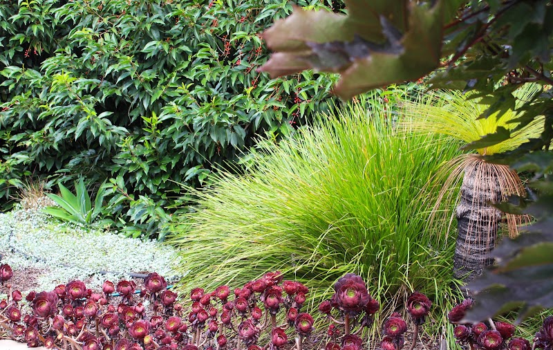 The Greener Garden Company project 5
