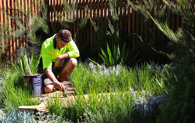 The Greener Garden Company project 6