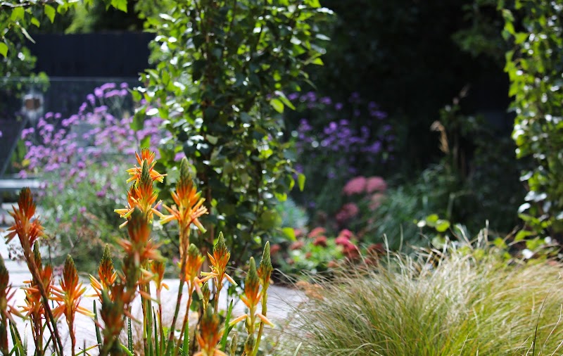 The Greener Garden Company project 7