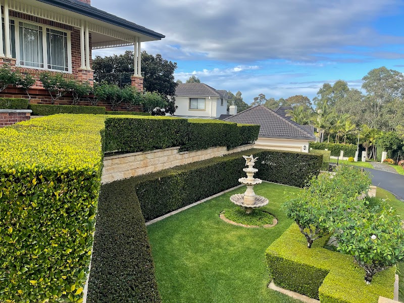 The Hills Hedge Man work 2