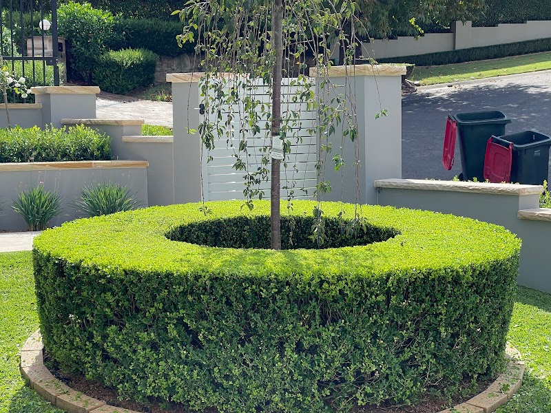 The Hills Hedge Man work 3