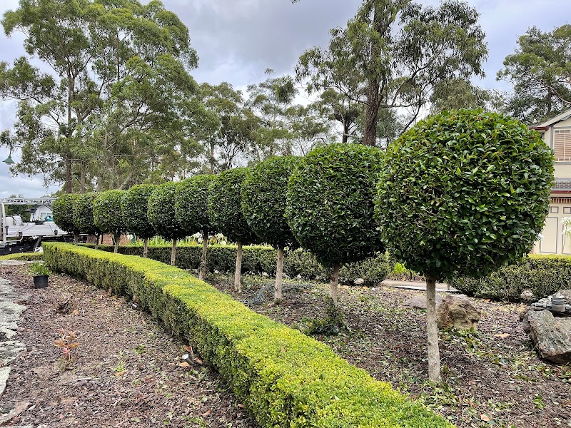 The Hills Hedge Man project 5
