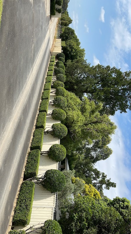 The Hills Hedge Man project 10