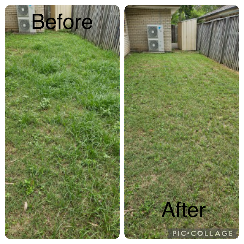 The Local Lawn Guy photo 1