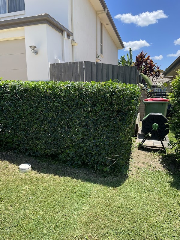 The Local Lawn Guy photo 2