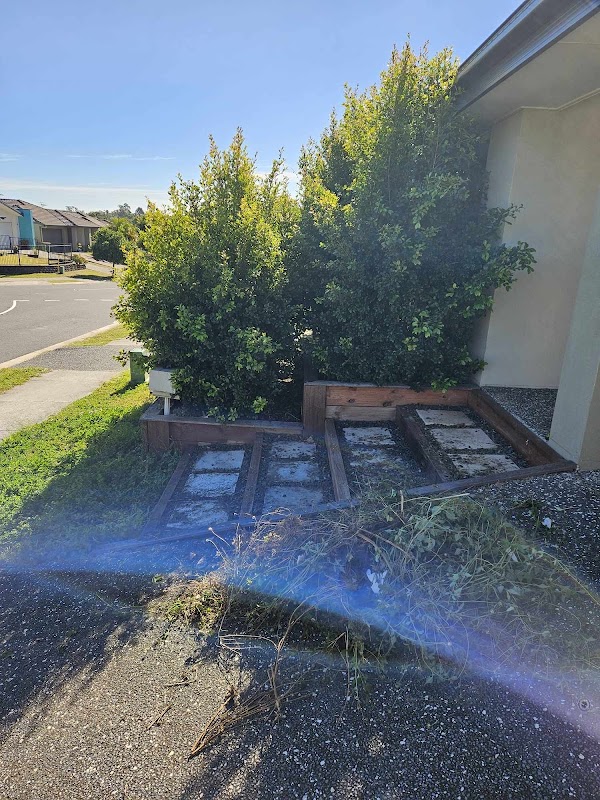 The Local Lawn Guy photo 3