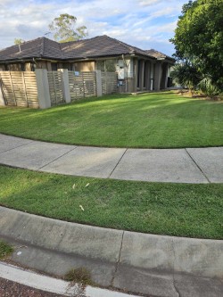 The Local Lawn Guy project 5
