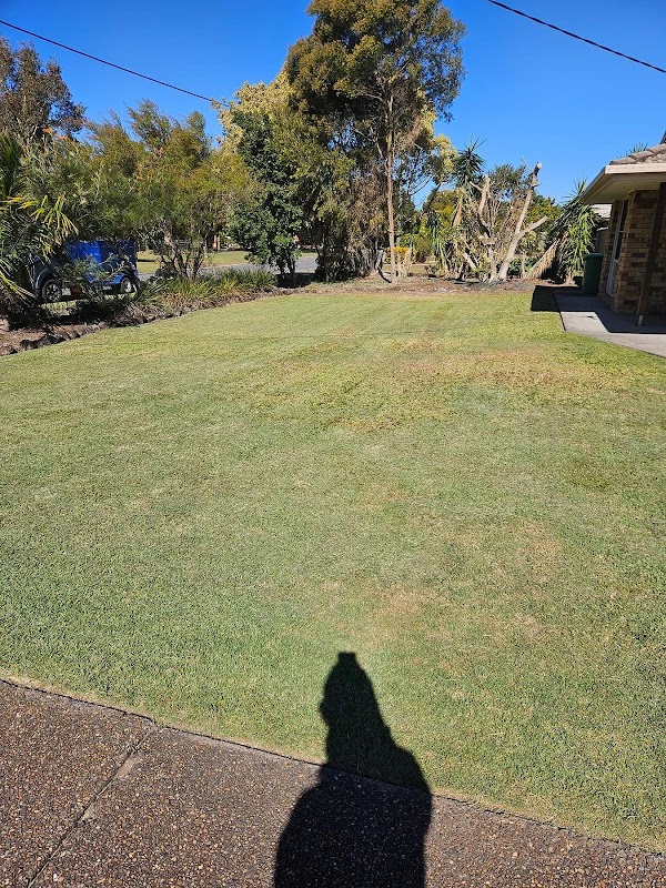 The Local Lawn Guy project 6
