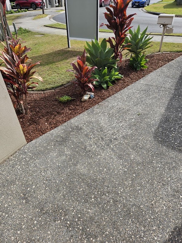 The Local Lawn Guy project 9