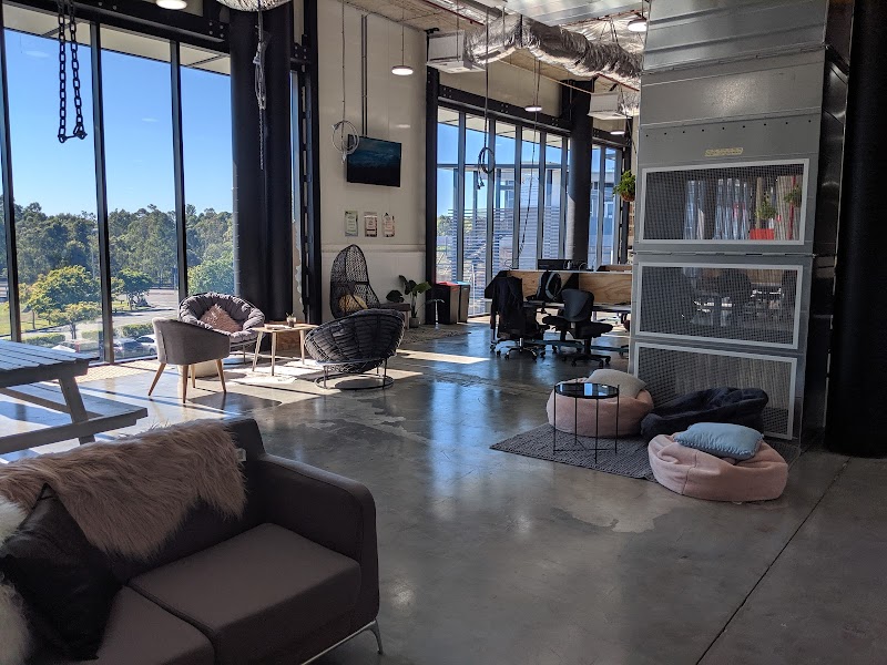 The Naturally Clean Co work 3