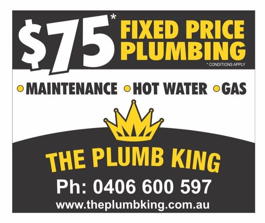 The Plumb King work 3