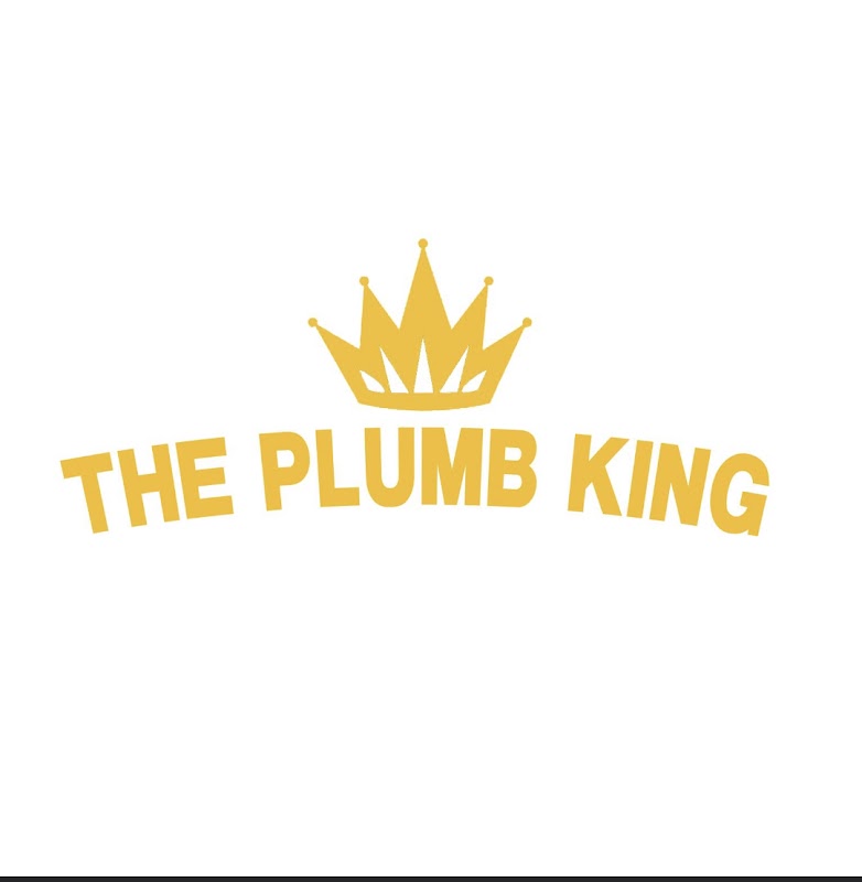 The Plumb King work 4