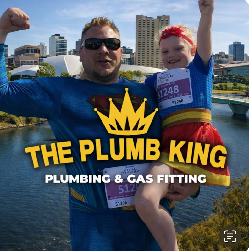 The Plumb King project 8